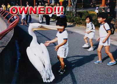 http://ribfeast.no-ip.com/owned/OWNED3.jpg