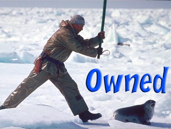 http://ribfeast.no-ip.com/owned/seal.jpg